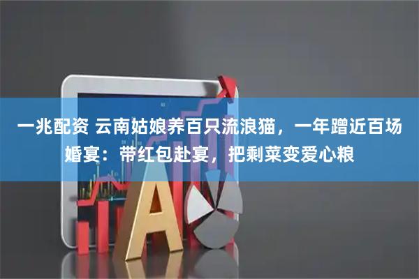 一兆配资 云南姑娘养百只流浪猫，一年蹭近百场婚宴：带红包赴宴，把剩菜变爱心粮